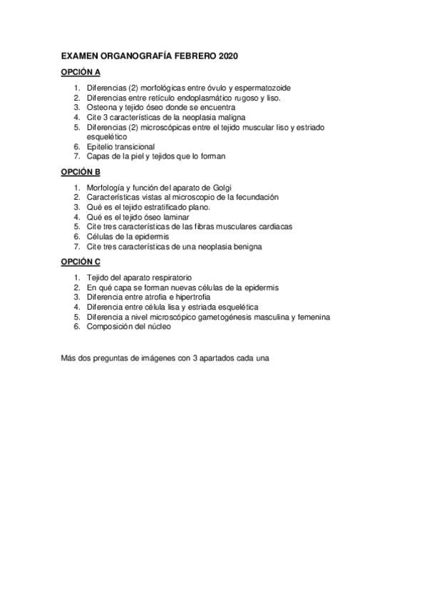 Miniatura del documento EXAMEN-ORGANOGRAFIA-FEBRERO-2020.pdf