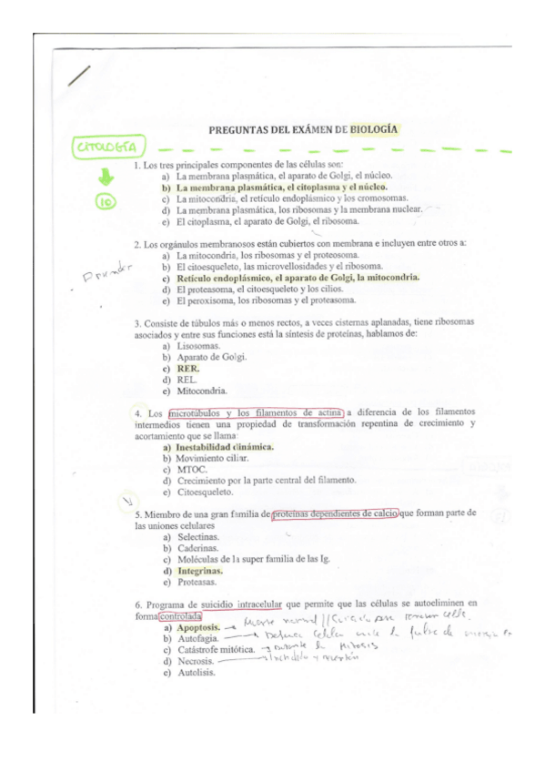 Miniatura del documento Modelo examen final 1.pdf