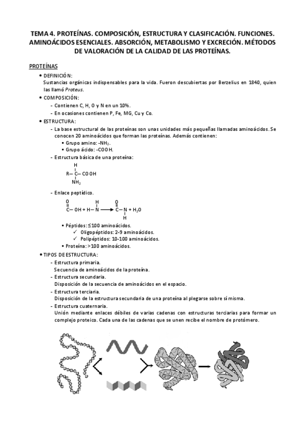 Miniatura del documento Tema 4. Proteínas.pdf