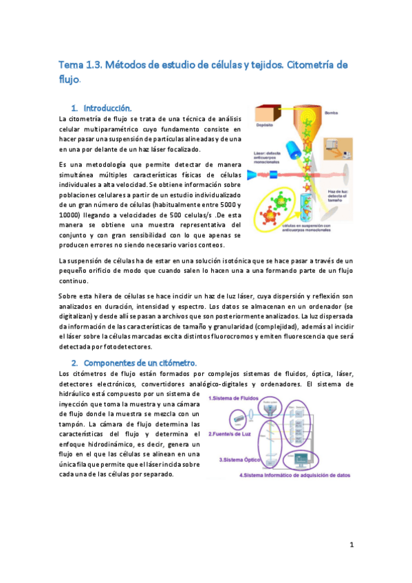 Miniatura del documento Tema-1.pdf