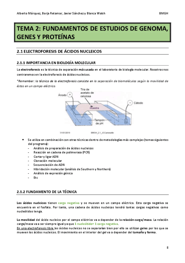 Miniatura del documento BMG-tema-2.pdf