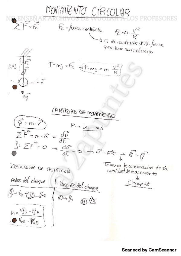 Miniatura del documento movimiento-circular-y-cantidad-de-movimiento.pdf