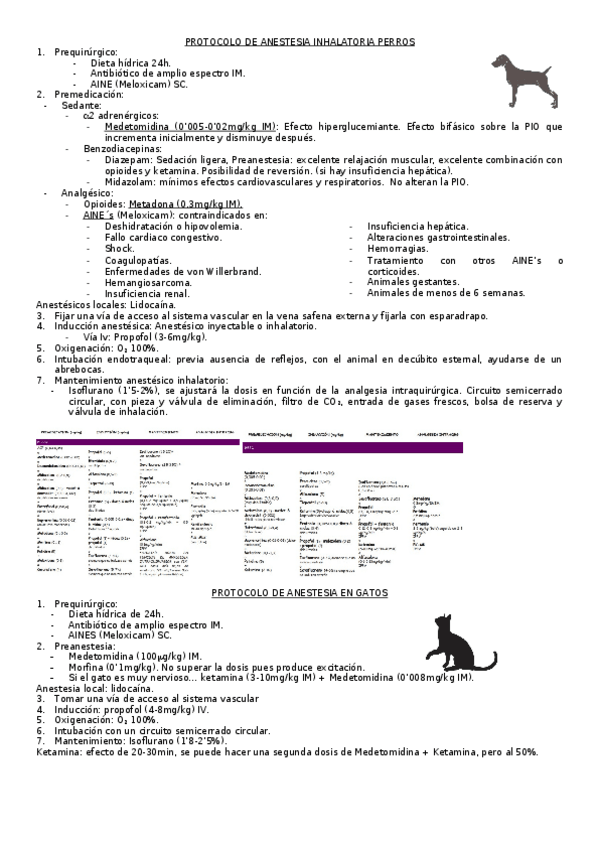Miniatura del documento PROTOCOLO-DE-ANESTESIA-INHALATORIA-PERROS-Y-GATOS.docx