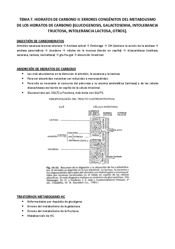 Miniatura del documento Tema 7.pdf