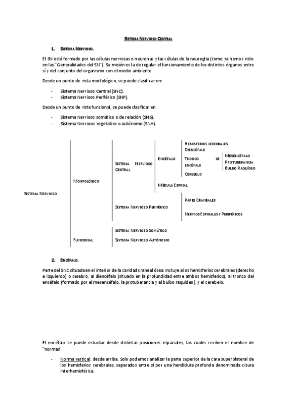 Miniatura del documento tema 3. Sistema Nervioso Central.pdf