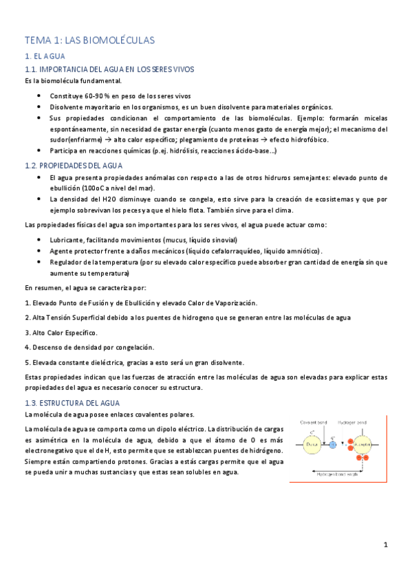 Miniatura del documento BLOQUE-1-BIOMOLECULAS.pdf