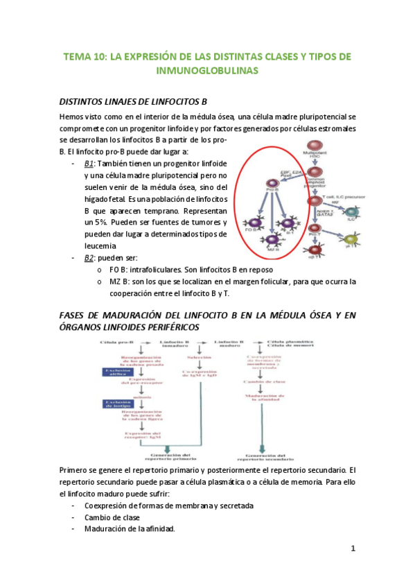 Miniatura del documento TEMA-10-La-expresion-de-las-distintas-clases-y-tipos-de-inmunoglobulinas.pdf