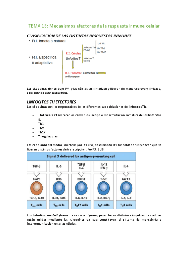 Miniatura del documento TEMA-18-Mecanismos-efectores-de-la-respuesta-inmune-celular.pdf