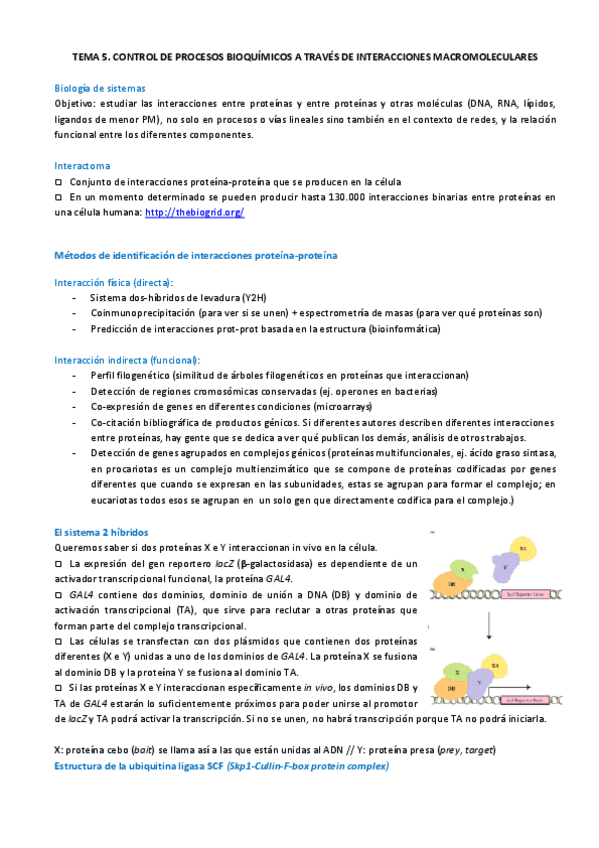 Miniatura del documento TEMA 5.pdf