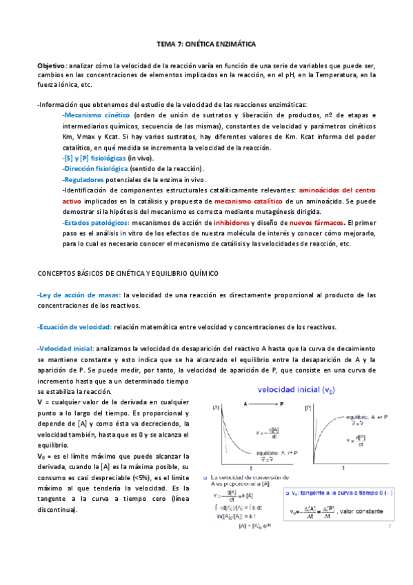 Miniatura del documento TEMA 7.pdf