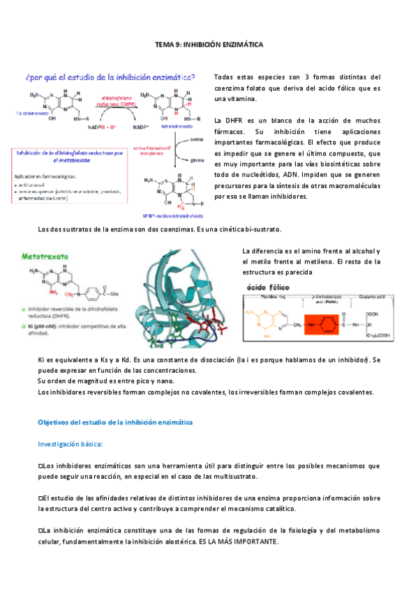 Miniatura del documento TEMA 9.pdf