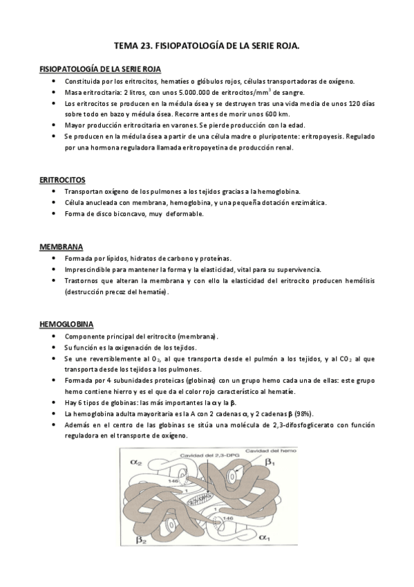 Miniatura del documento Tema 23.pdf