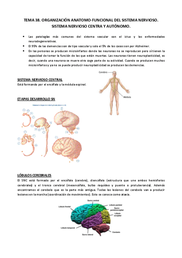 Miniatura del documento Tema 38.pdf