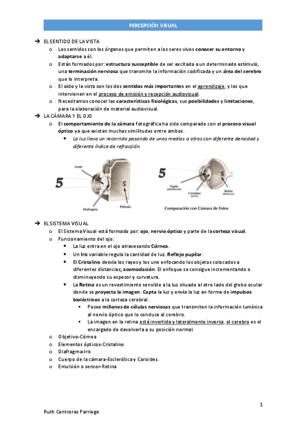 Miniatura del documento PERCEPCIONVISUAL.pdf