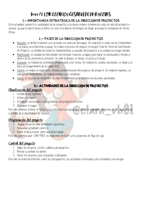 Miniatura del documento Tema-7-LA-DIRECCION-Y-GESTION-DE-PROYECTOS.pdf
