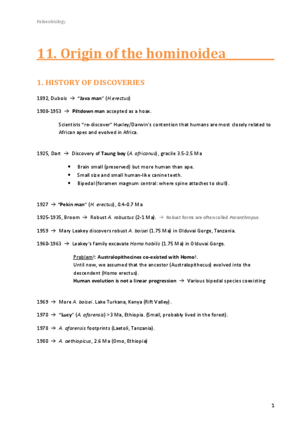 Miniatura del documento 11.pdf
