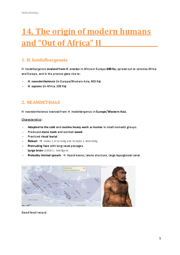 Miniatura del documento 14.pdf