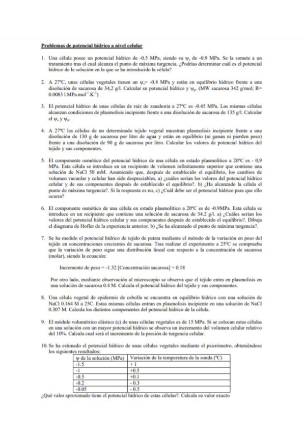Miniatura del documento Ejercicios-P.pdf
