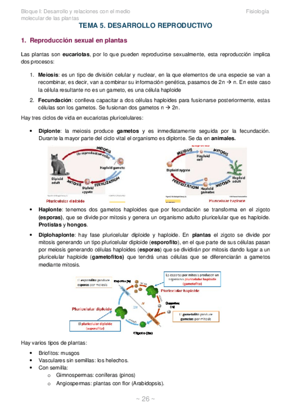 Miniatura del documento Tema-1.docx