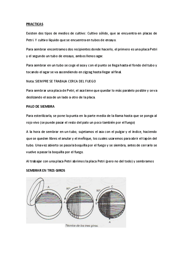 Miniatura del documento APUNTES-PRACTICA.pdf