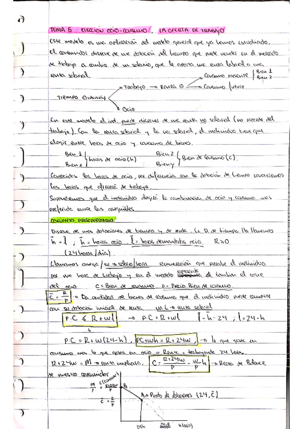 Miniatura del documento TEMA-5-MICRO.pdf