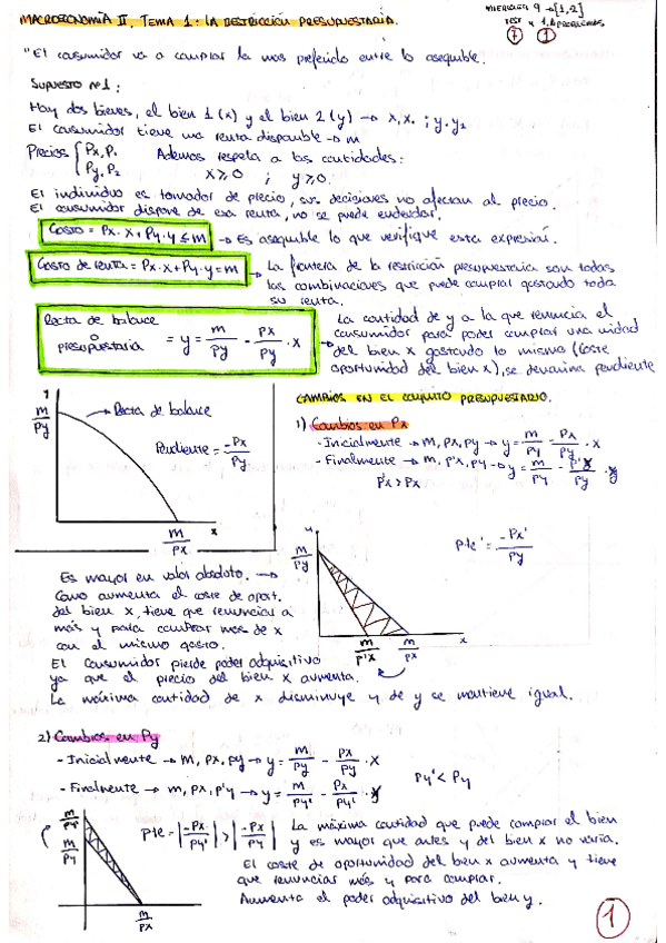 Miniatura del documento TEMA-1-MICRO.pdf