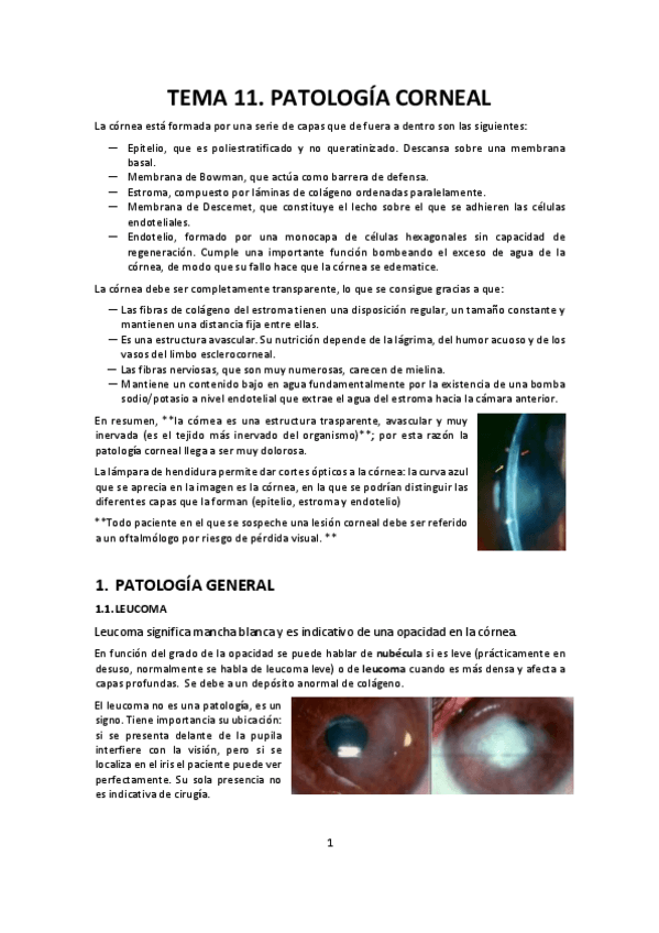 Miniatura del documento Tema-11.pdf