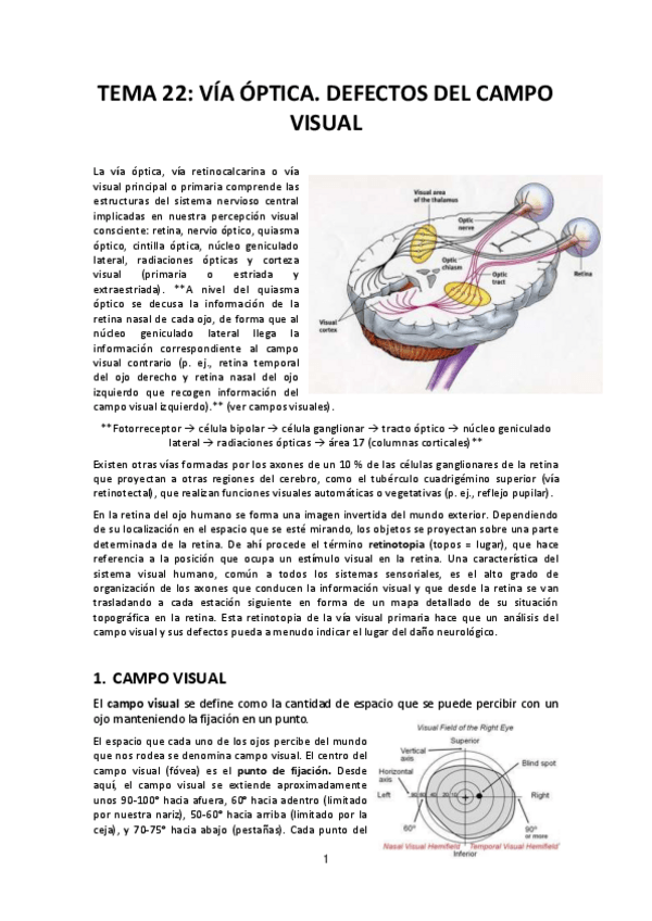 Miniatura del documento Tema-22-Via-optica.pdf
