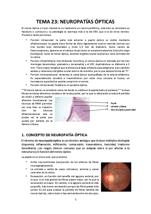 Miniatura del documento Tema-23-Neuropatias-opticas.pdf