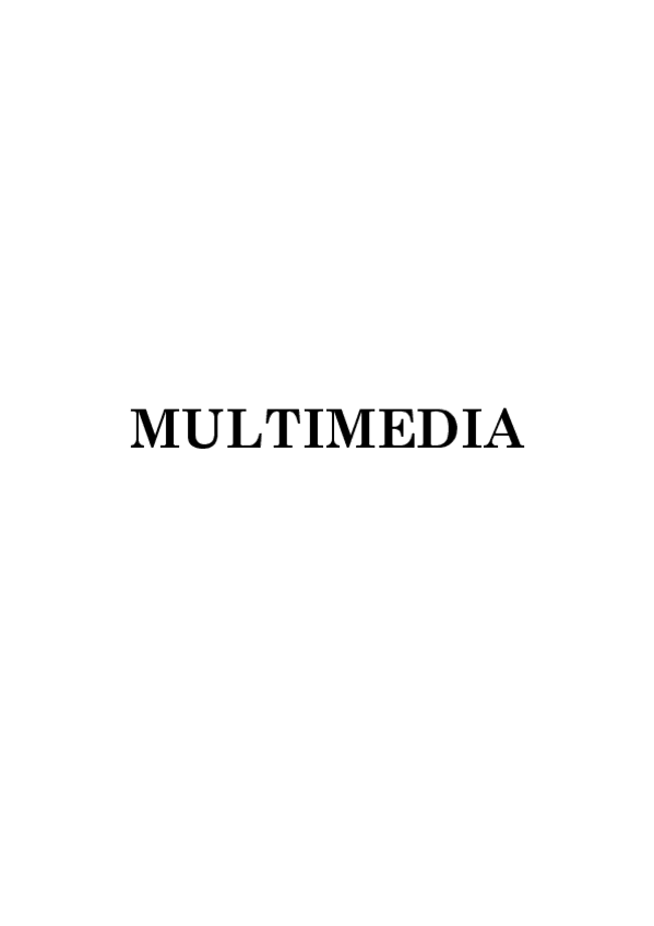Miniatura del documento Multimedia.pdf
