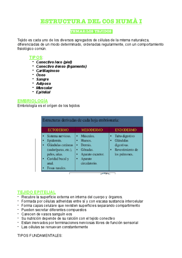 Miniatura del documento ANATOMIA-2.pdf
