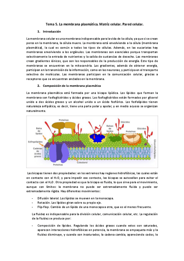 Miniatura del documento Tema-5.pdf