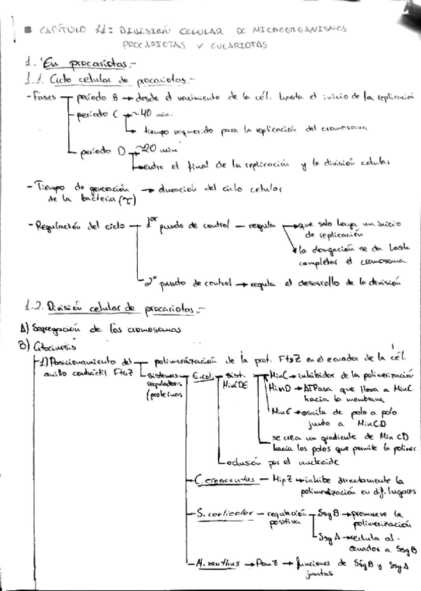 Miniatura del documento 6fb17b0f77bd4377a7c3816803a1823e.pdf