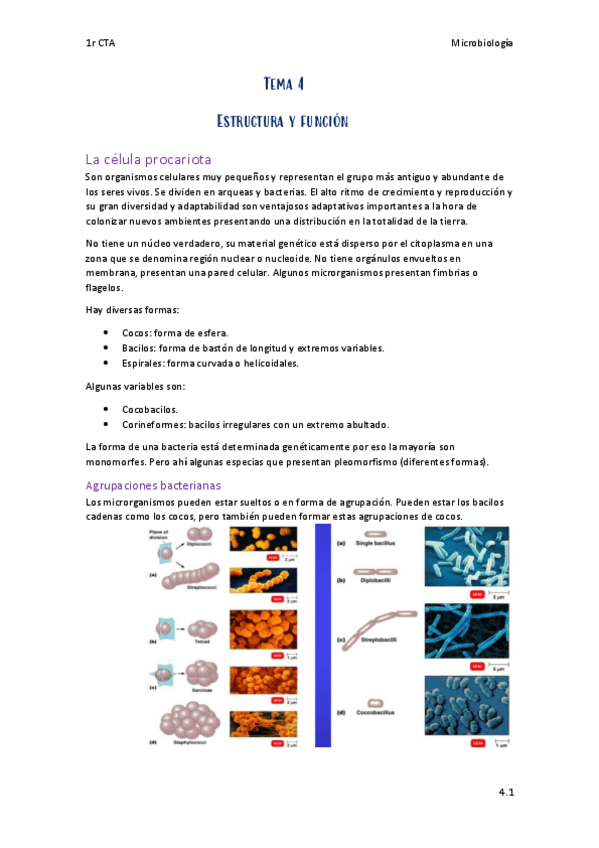 Miniatura del documento Micro-Tema-4.pdf