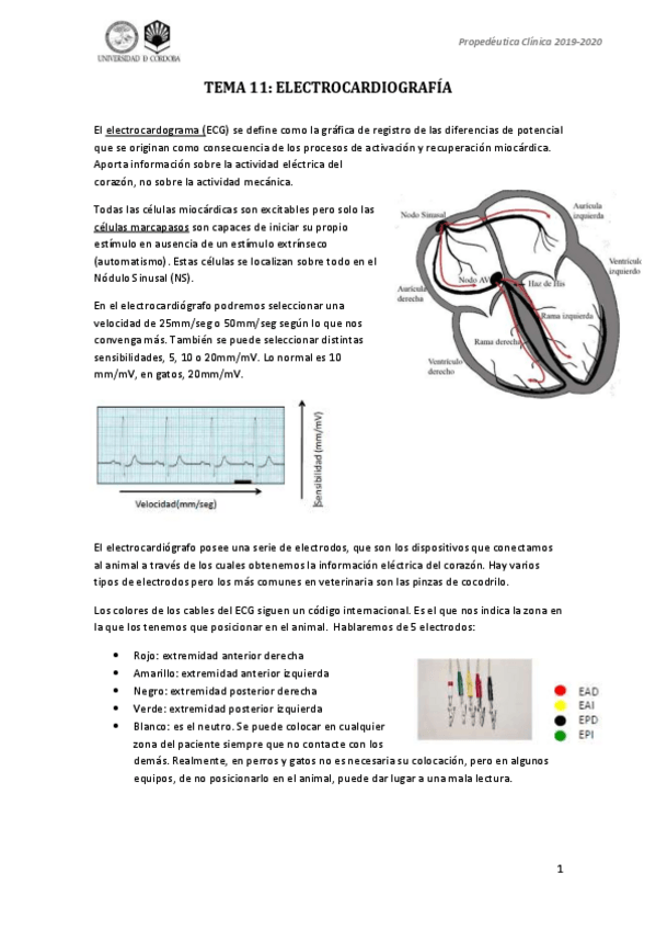 Miniatura del documento Tema-11-prope.pdf