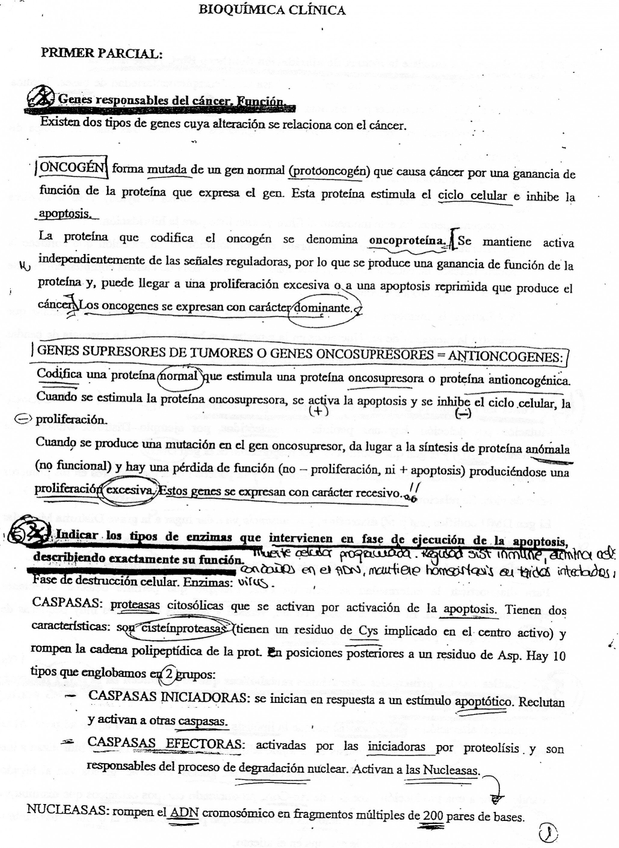 Miniatura del documento 1.jpg