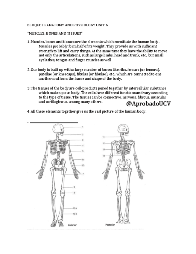 Miniatura del documento Examen-tipo-A-Ingles.pdf