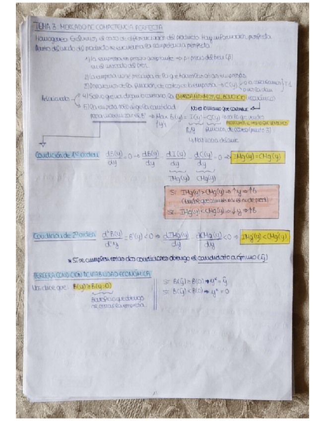 Miniatura del documento TEMA-3-.pdf