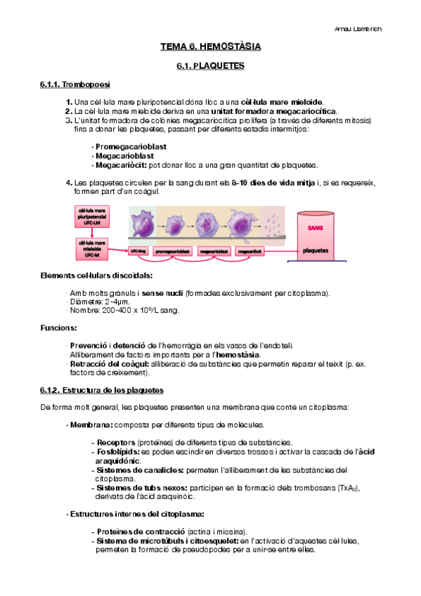 Miniatura del documento Apunts-Fisiologia-i-Fisiopatologia-II-Tema-6.pdf
