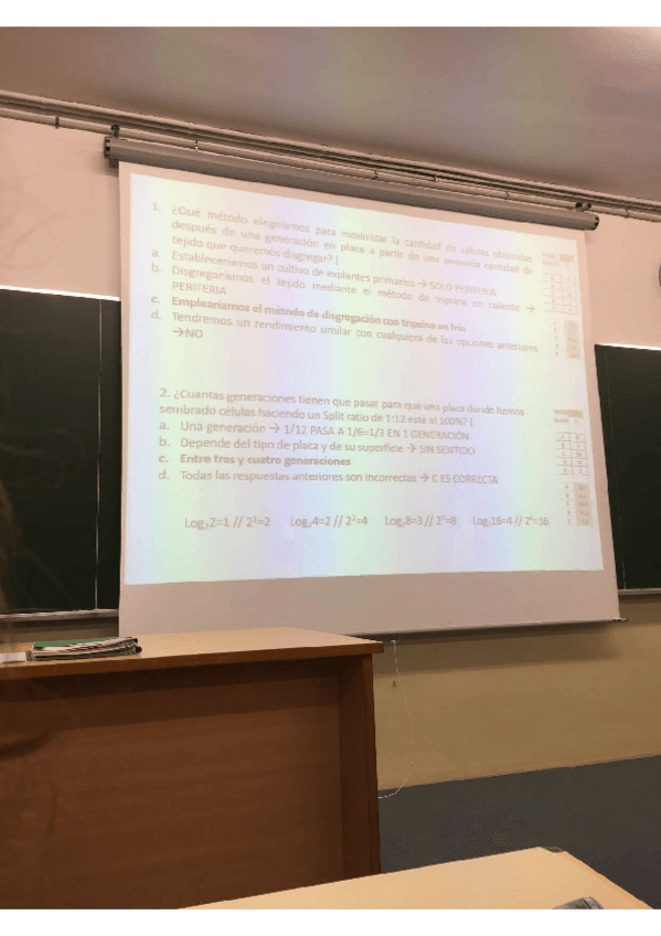 Miniatura del documento fotos-parcial.pdf