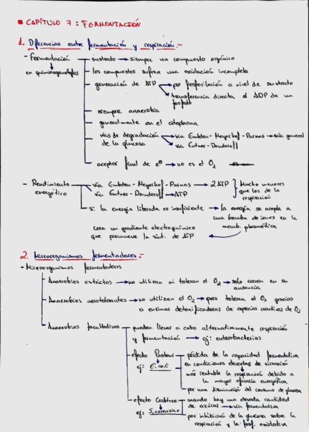 Miniatura del documento 146f11ddce294617bf5eeb34073b01d3.pdf