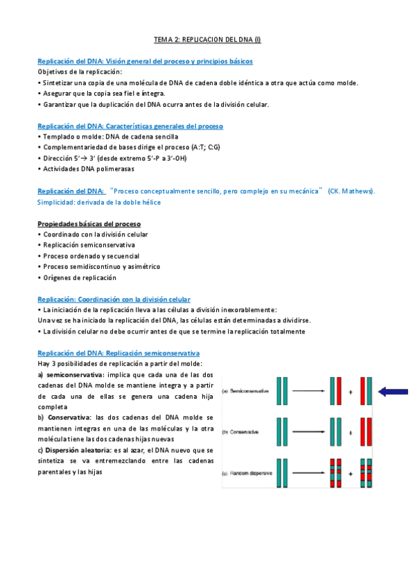Miniatura del documento 2_replicacion.pdf