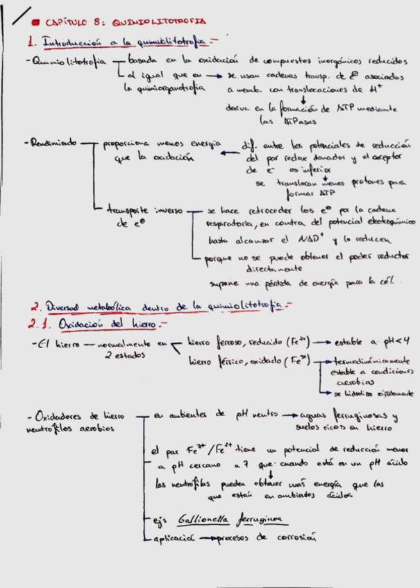 Miniatura del documento 982330d74efd46ac9aca3a2e2585a1de.pdf