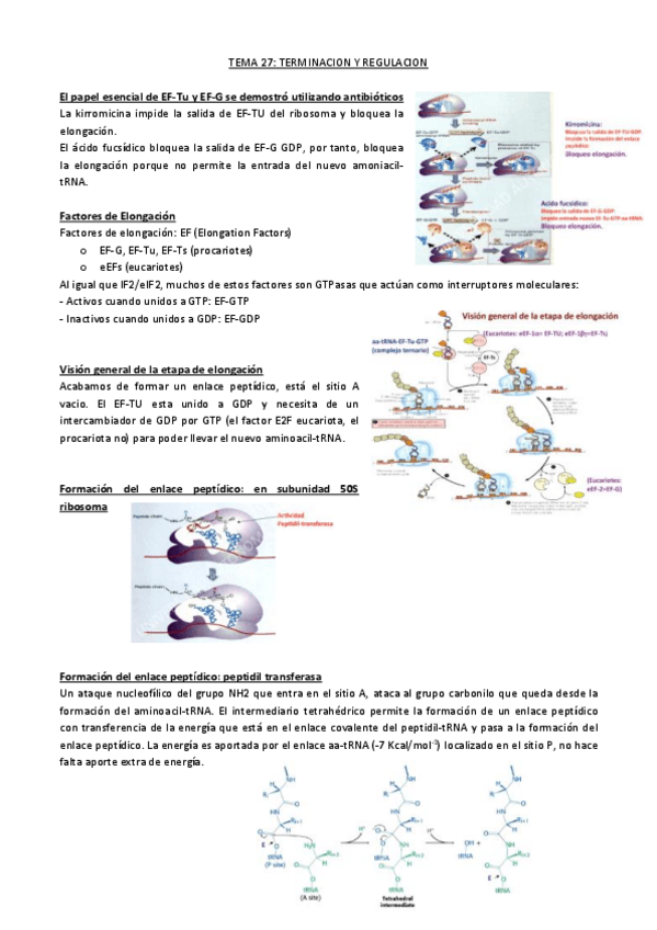 Miniatura del documento Tema 27.pdf