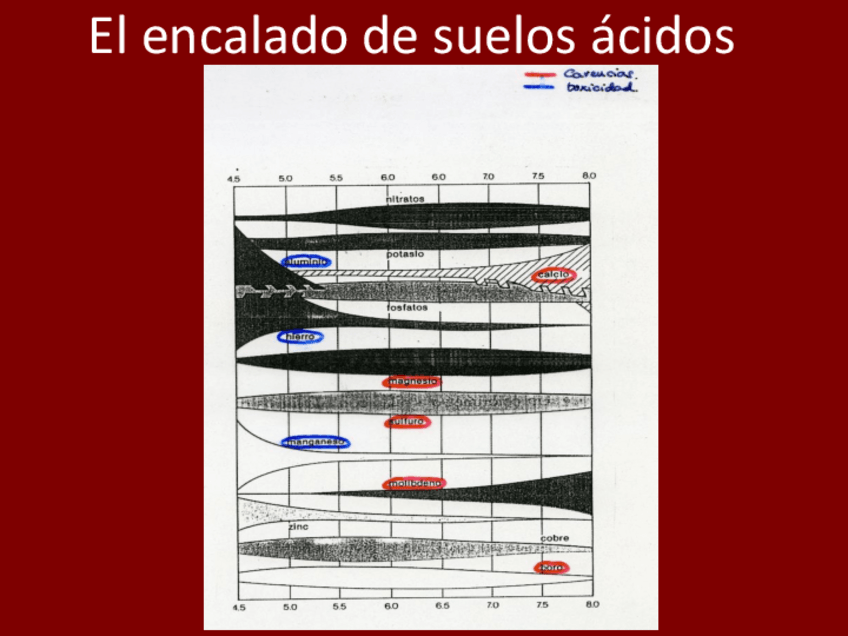 Miniatura del documento Ejemplo-calculo-de-encalado.pdf