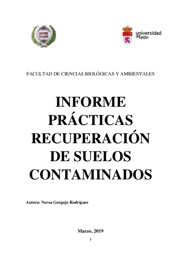 Miniatura del documento INFORME-PRACTICAS.pdf