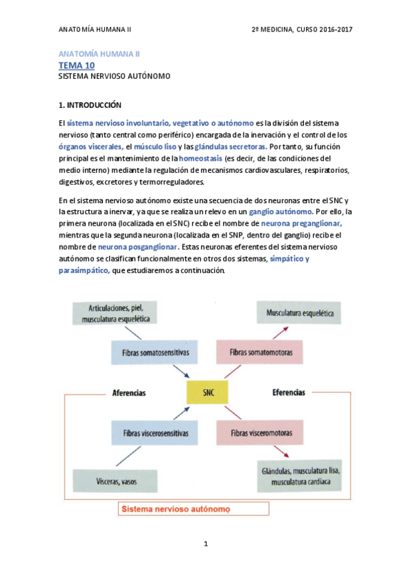 Miniatura del documento TEMA 10 - SISTEMA NERVIOSO AUTÓNOMO.pdf