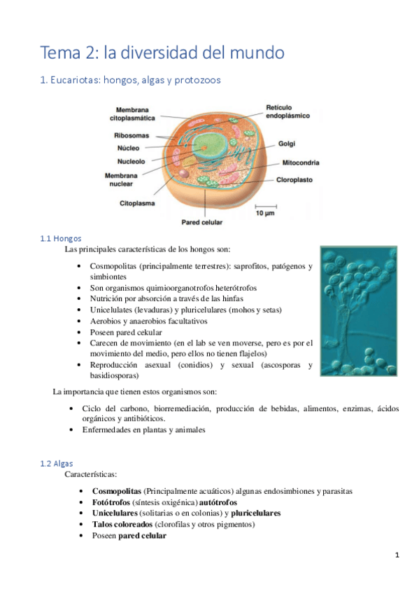 Miniatura del documento Tema-2.pdf