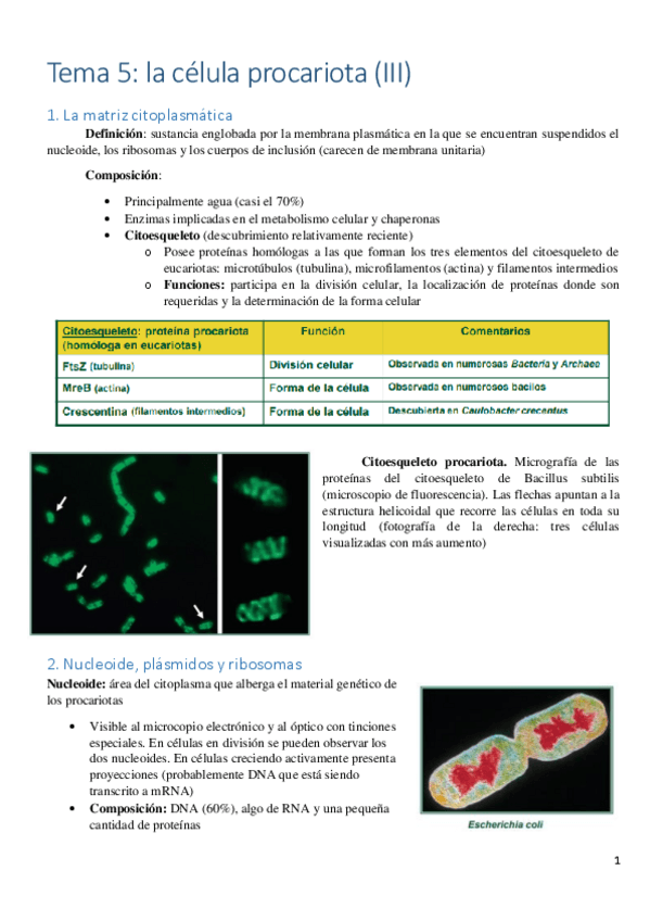Miniatura del documento Tema-5.pdf
