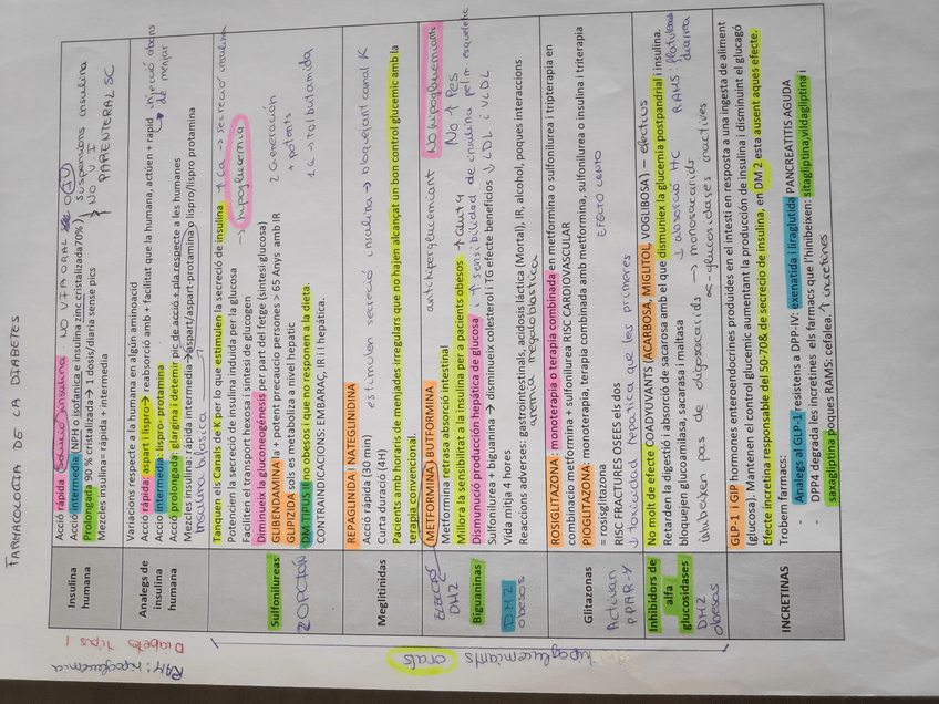 Miniatura del documento IMG202002201241561.jpg